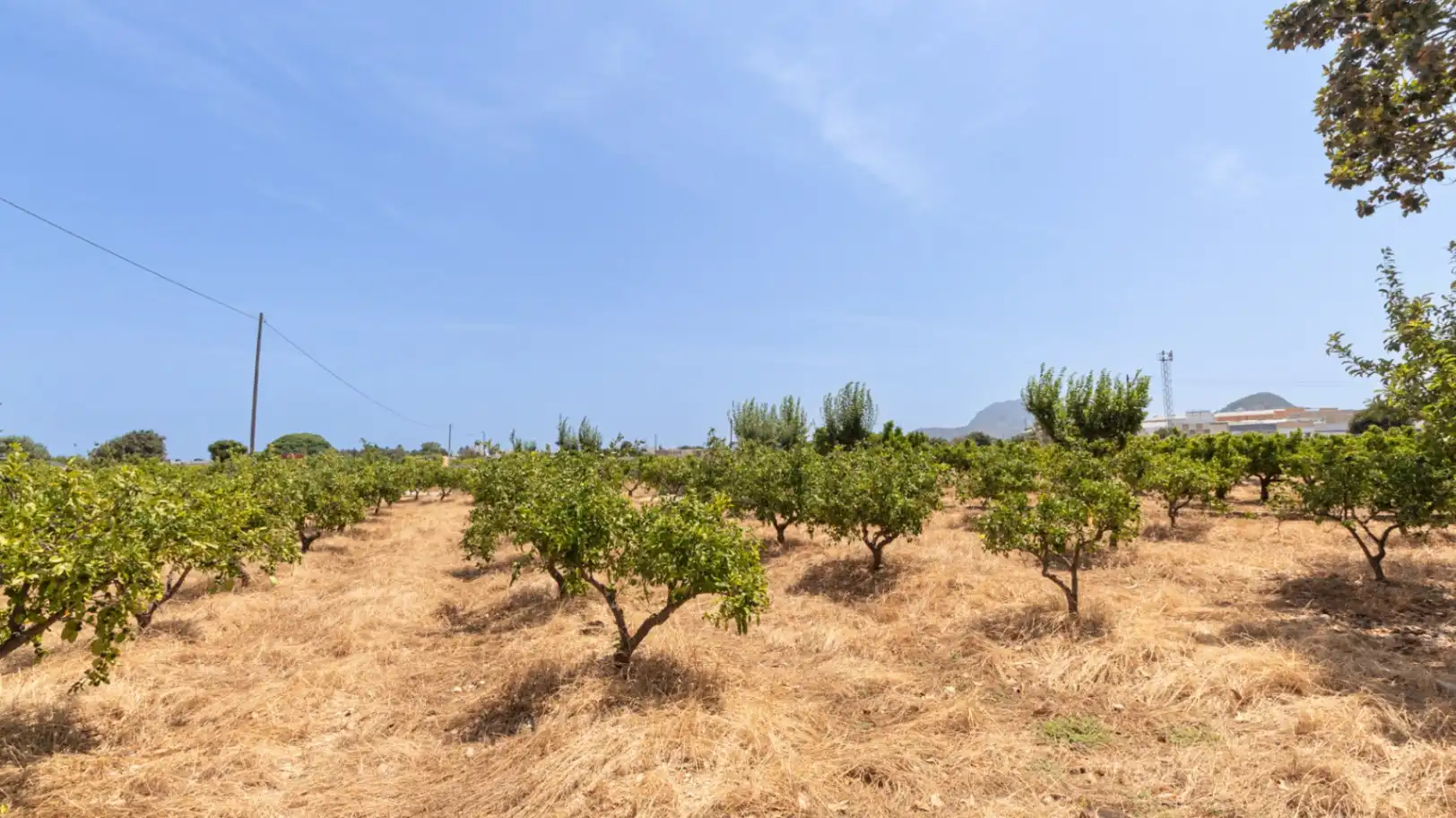 Finca rústica en venda en Beniarbeig amb Jardí privat, Terrassa i Traster