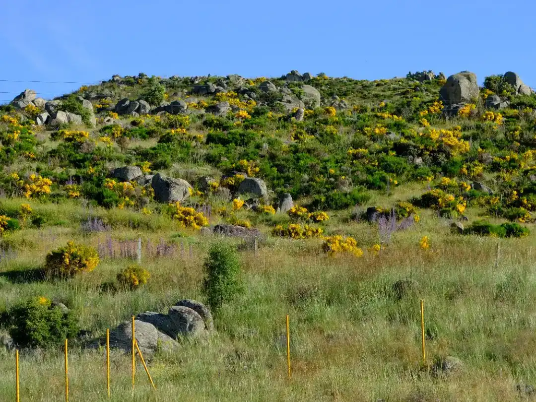 Piso de alquiler en Marlín con Jardín privado y Amueblado