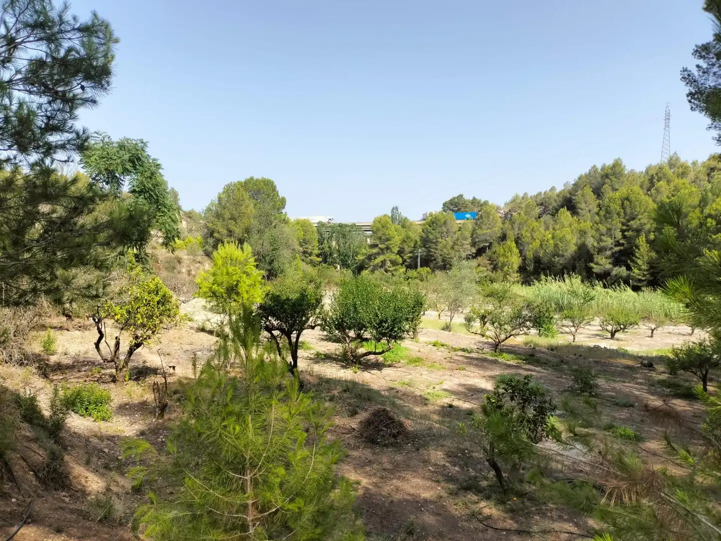 Local en venta en L'Alcúdia de Crespins