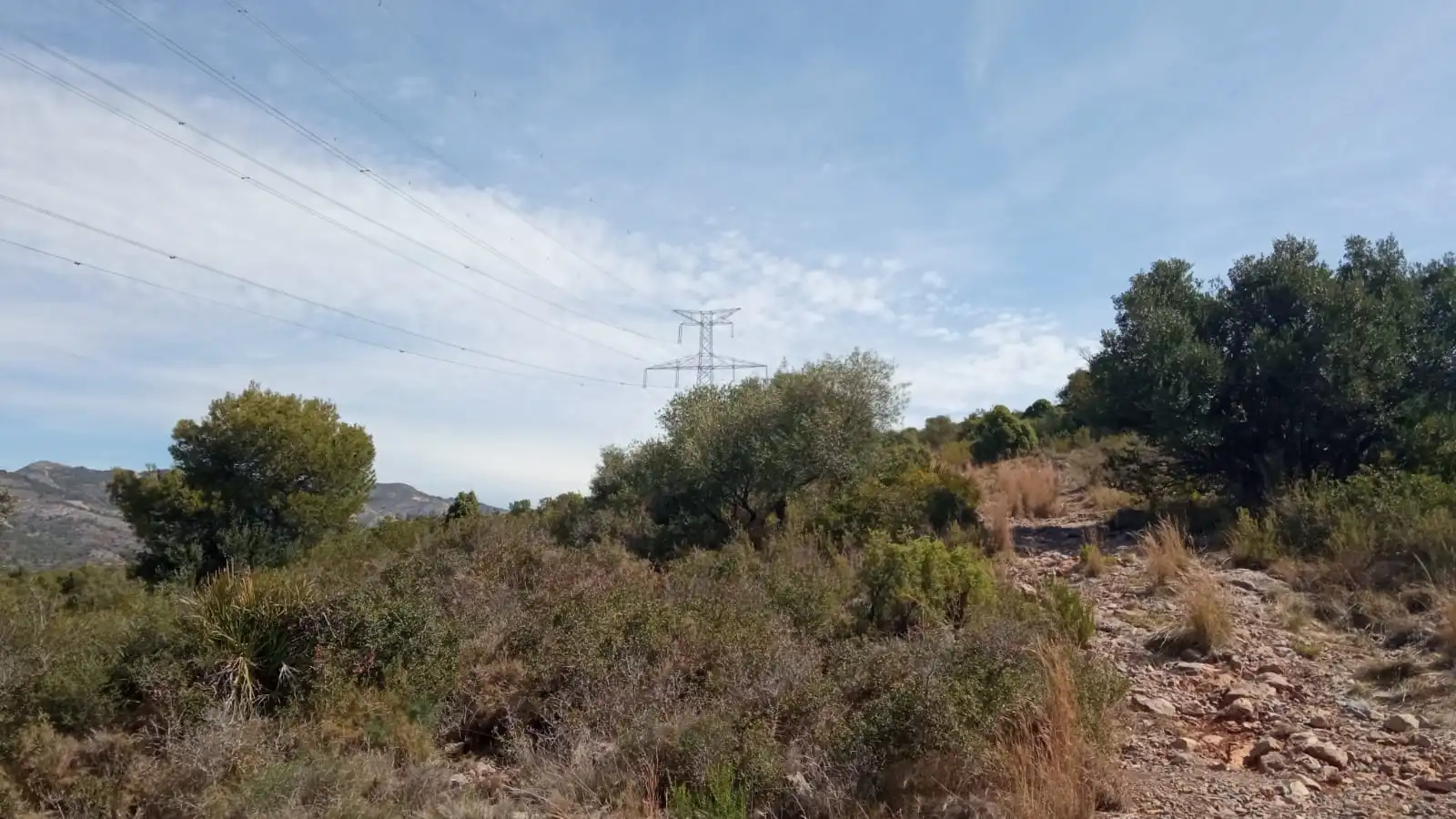 Residential land for sale in Poligono 11, imagen 5