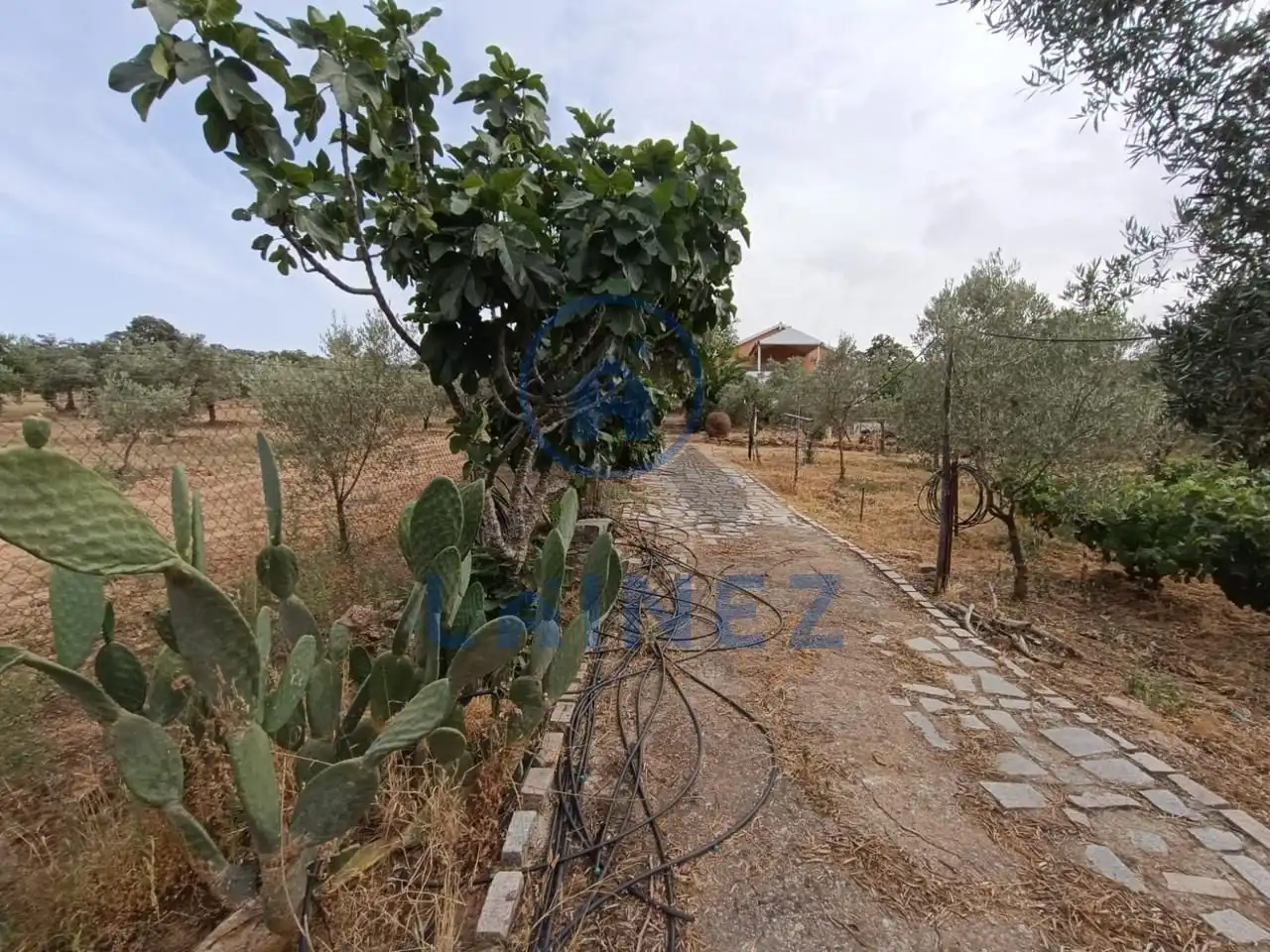Residencial en venta en La Granjuela