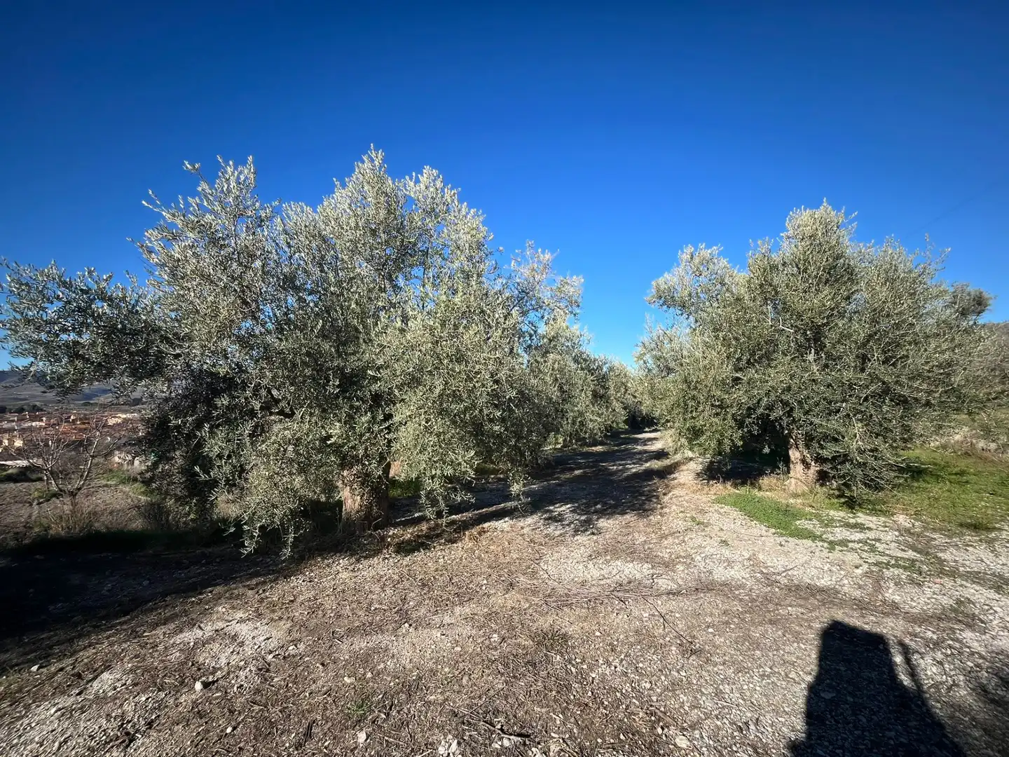 Rural land for sale in Calle Jose Saramago 2, imagen 8