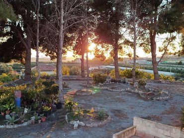 Casa rústica amb piscina en venda a Las Zorreras