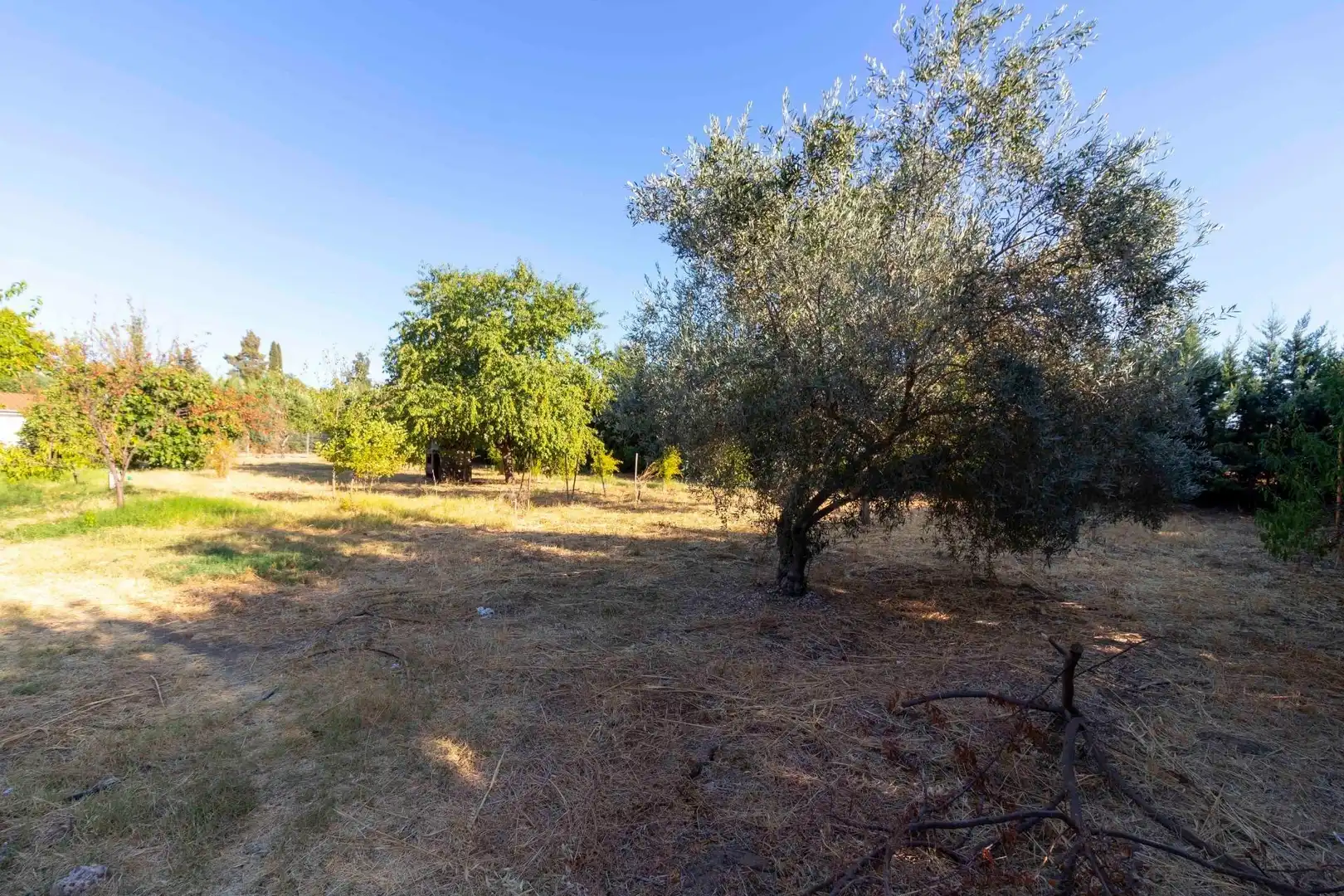 Casa rústica con piscina en venta en Dehesilla de Calamón - Campomanes, imagen 59