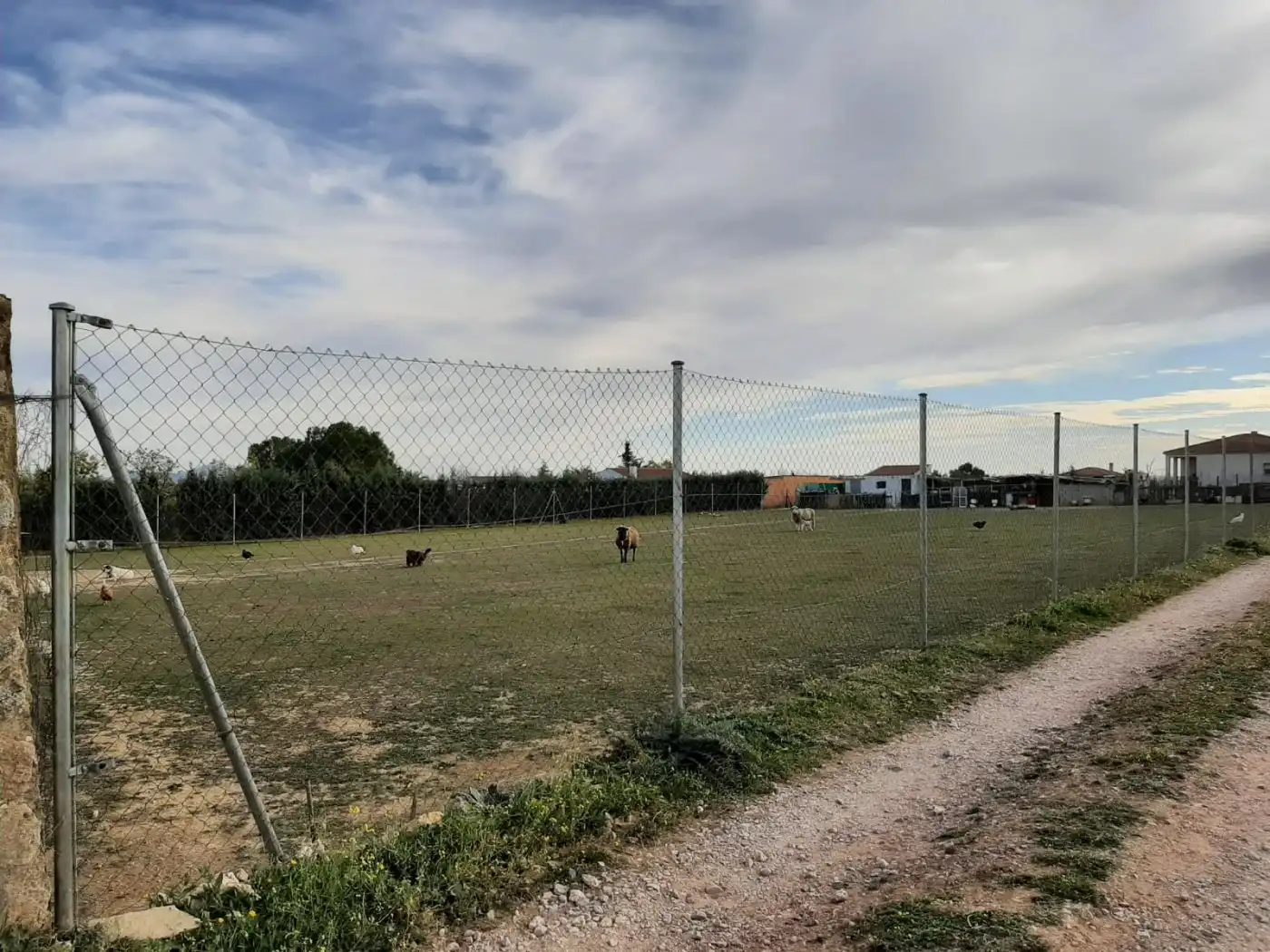 Terreni e lotti in vendita a Valdesalor - Rincón de Ballesteros, imagen 3