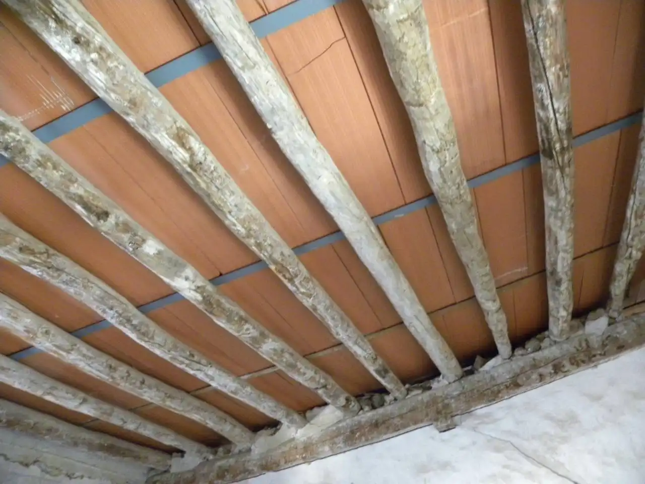 Maison avec jardin à vendre à Caravaca de la Cruz, imagen 13