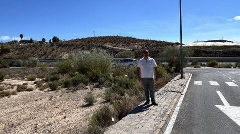 Terreno industrial en calle palmeras las Cantoria, immagine 4