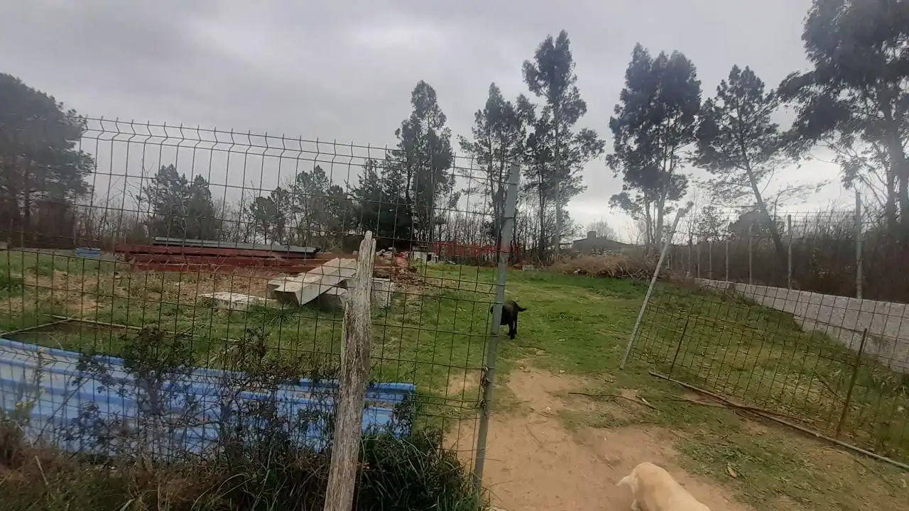 Terreni e lotti in vendita a San Cibrao das Viñas, imagen 8