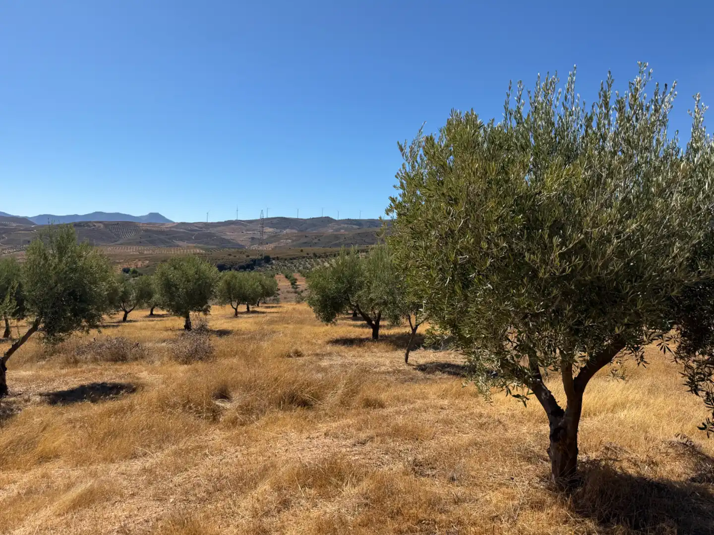 Terreno rustico in vendita a Camino de la Sierra, imagen 9