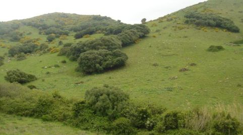 Finca rústica