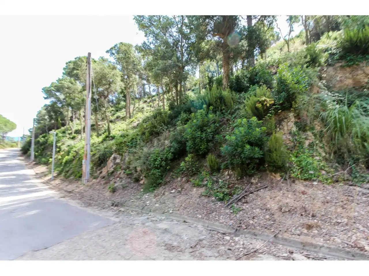 Terreno rústico en venta en Avenida Illes 12, imagen 11