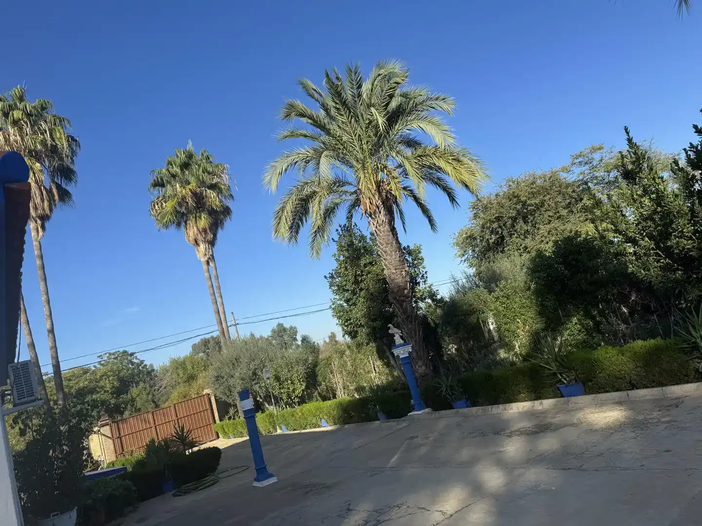 Vista exterior de Casa o xalet en venda en Carmona amb Aire condicionat, Jardí privat i Traster