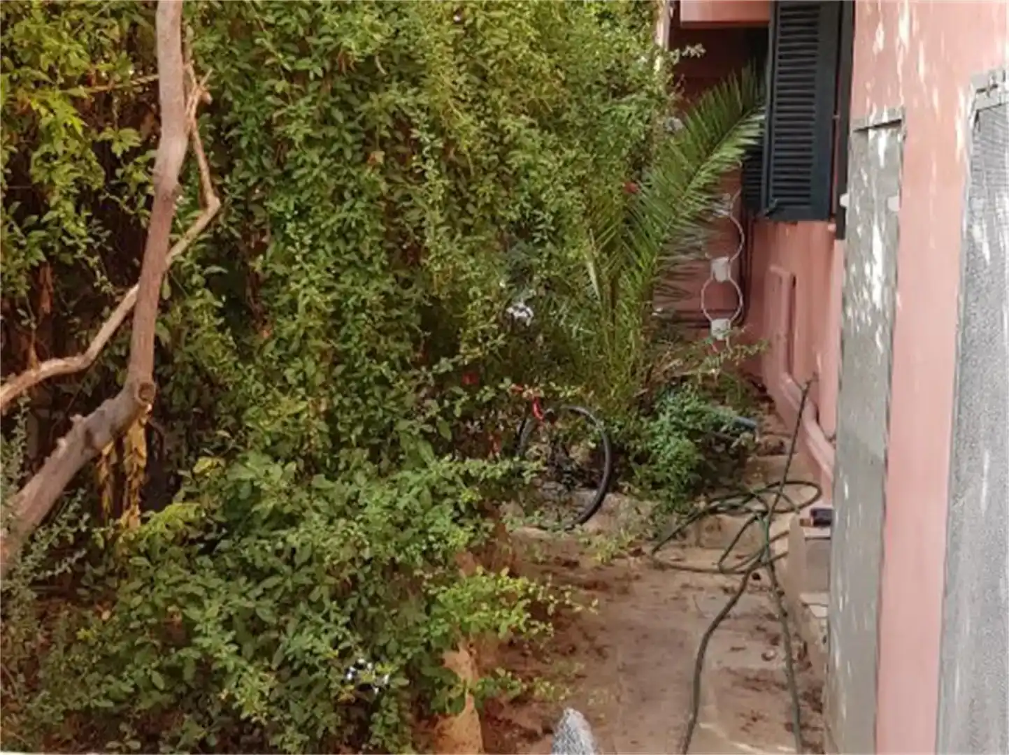 Jardín de Casa o chalet en venta en  Palma de Mallorca