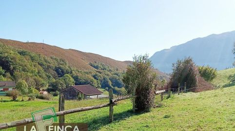 MorcínTerreno, immagine 2