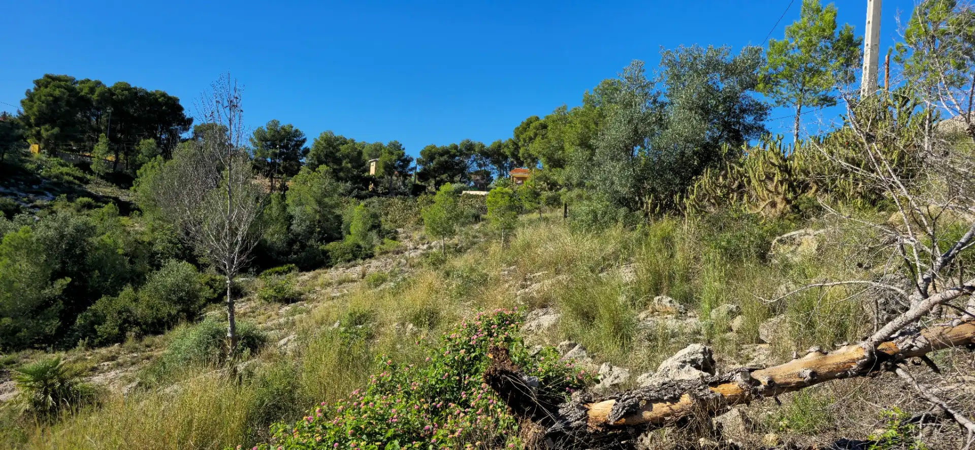 Wohnbaugrundstück zum Verkauf in Calle C/2 Lloma Molina 31, imagen 15