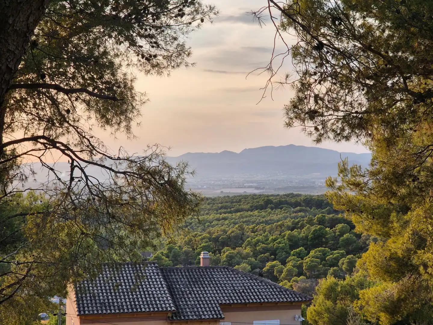 Terreno residencial en venta en Carrer Doctor Fleming, imagen 7
