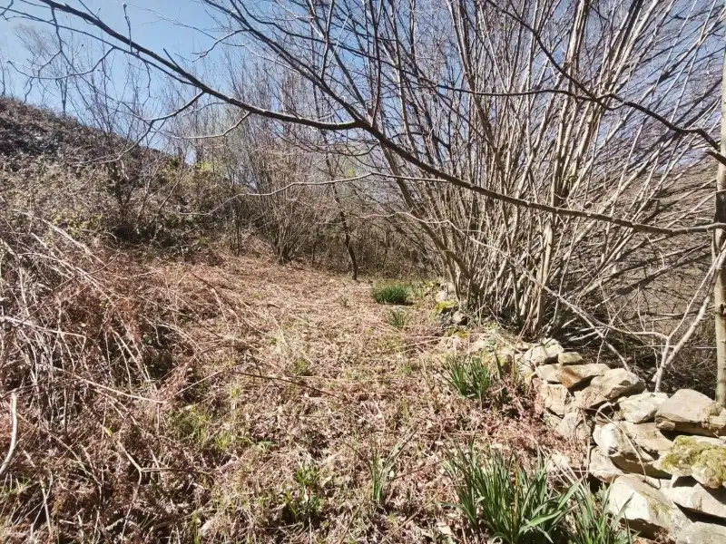 Terreni e lotti in vendita a Rionansa, imagen 17