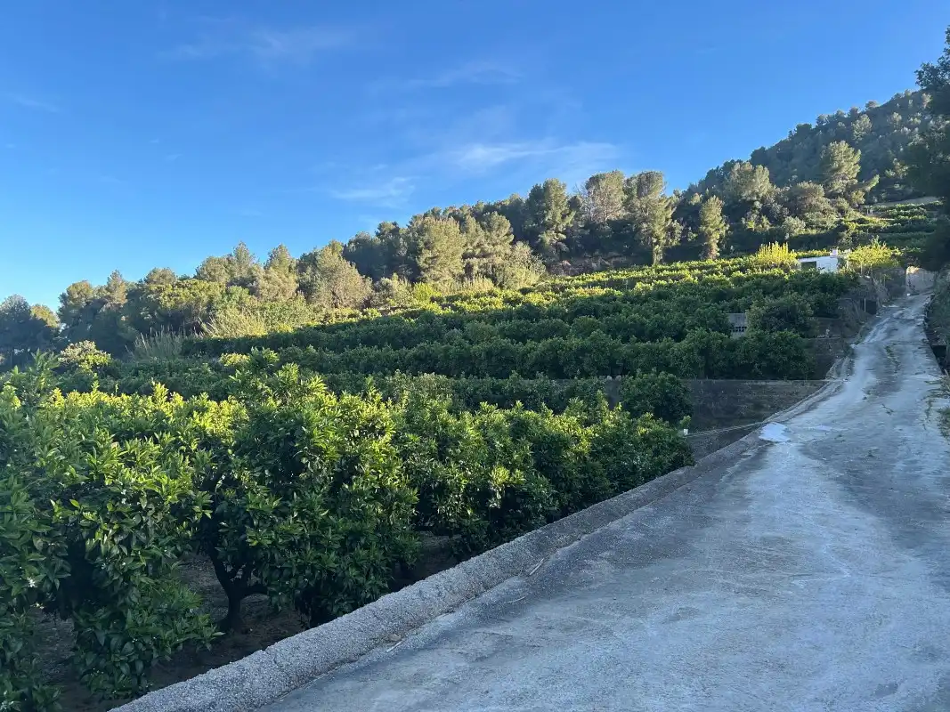 Finca rústica en venda en Oliva amb Moblat
