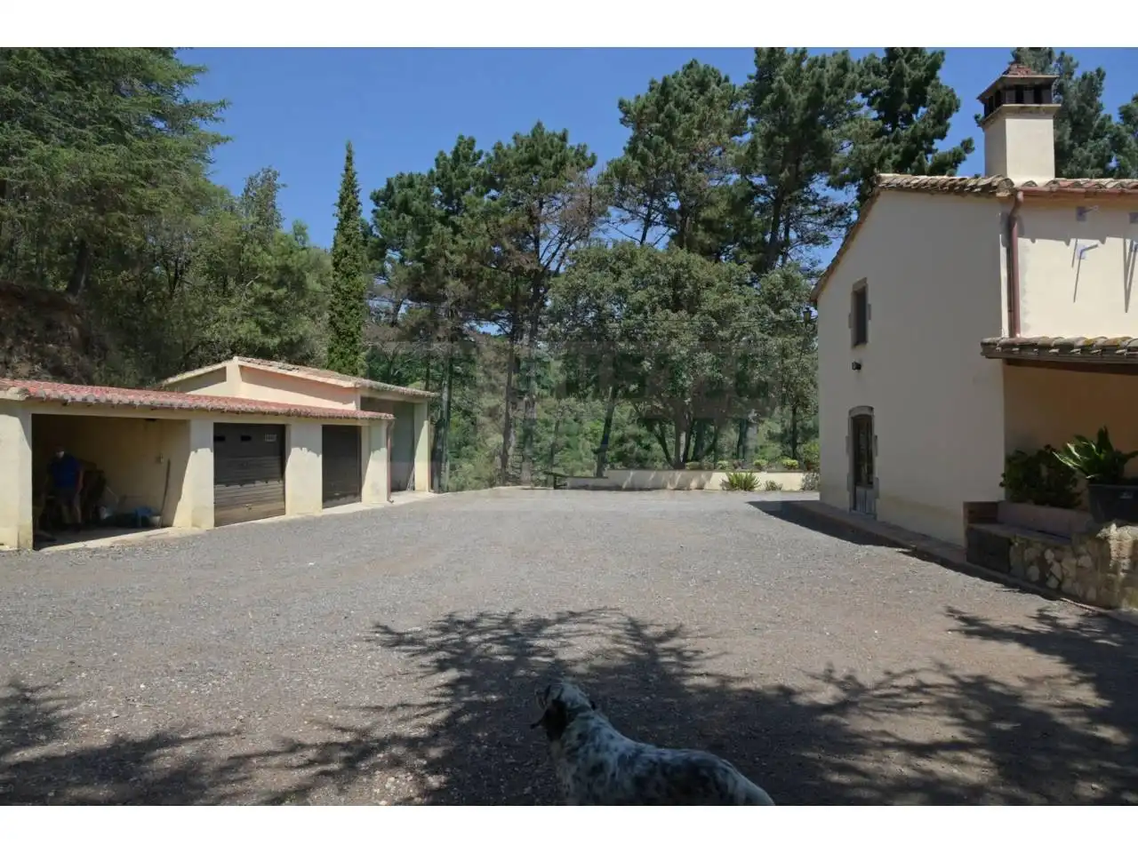 Vista exterior de Finca rústica en venda en Tordera amb Calefacció i Piscina