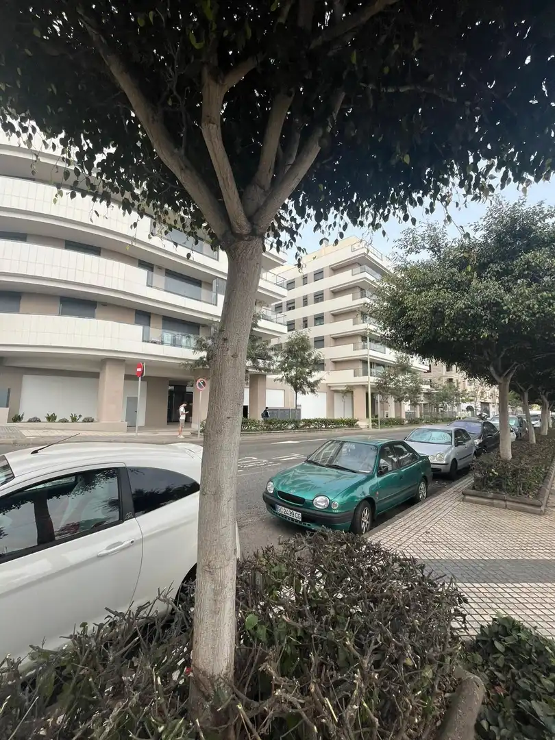 Vista exterior de Piso de alquiler en Las Palmas de Gran Canaria con Terraza, Trastero y Amueblado