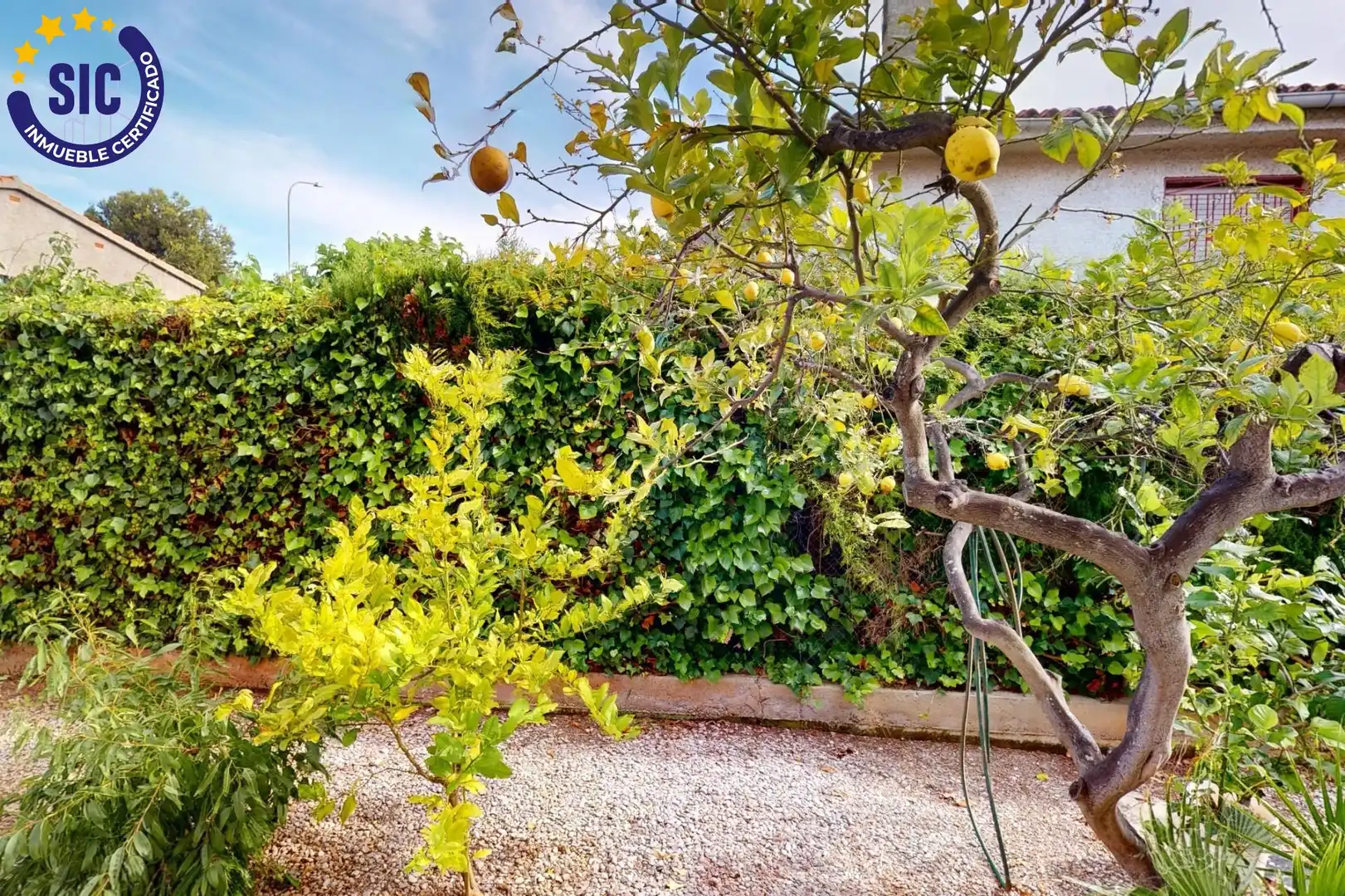 Garden of Houses for sale in Benicasim / Benicàssim  with Air Conditioner, Private garden and Terrace