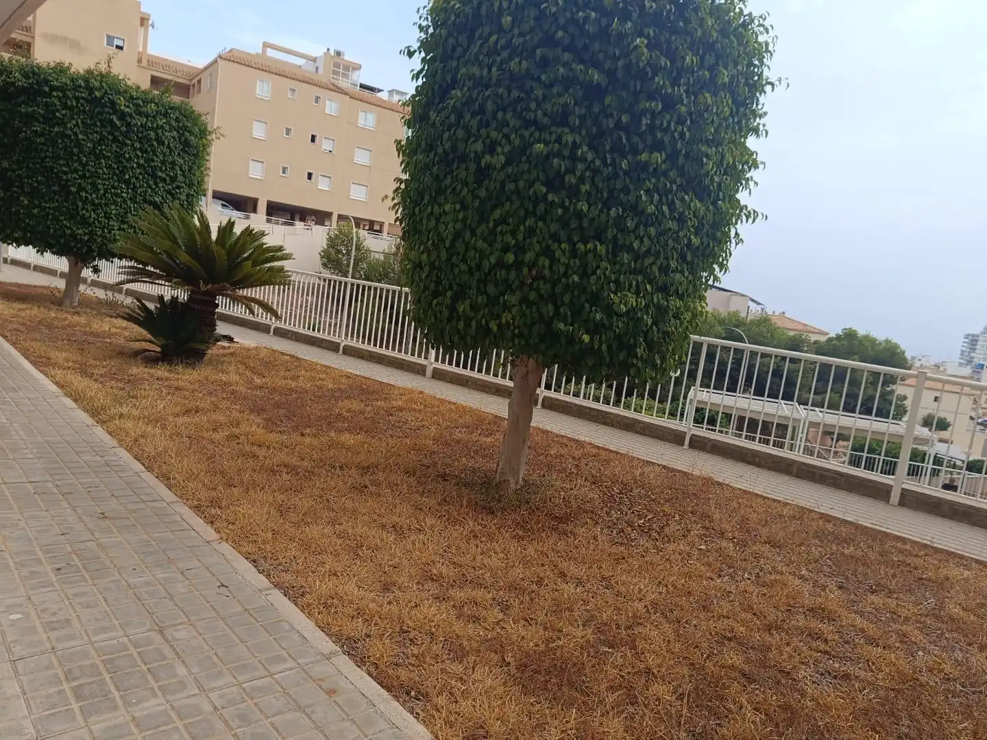 Apartament de lloguer en Santa Pola amb Aire condicionat, Terrassa i Moblat