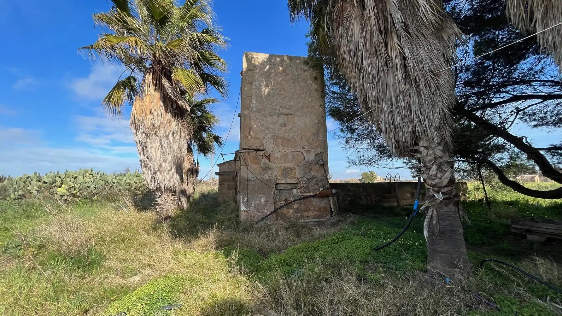 Finca rústica en venta en Camino del palmer, 528, Zona Rústica - Interior