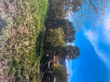 Terreny residencial en venda a Sabines 7