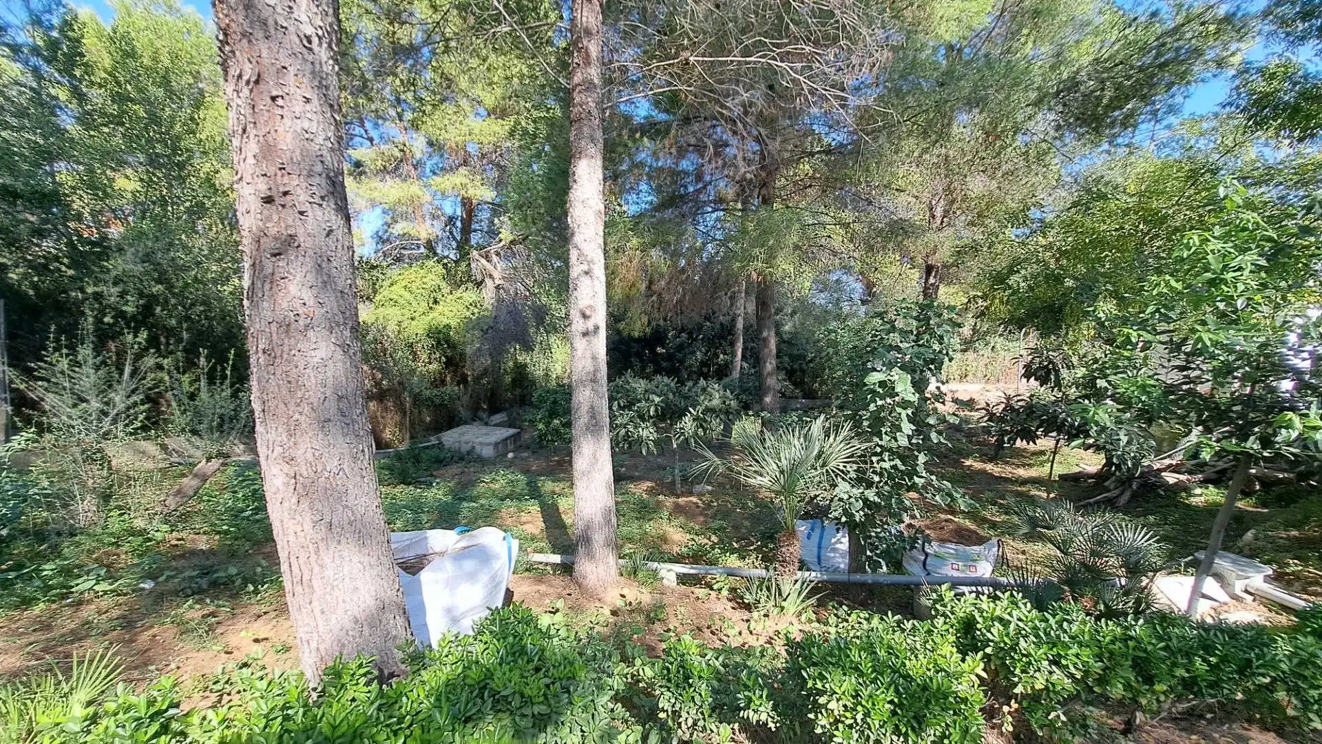 Villa avec piscine à vendre à Alberic, imagen 7