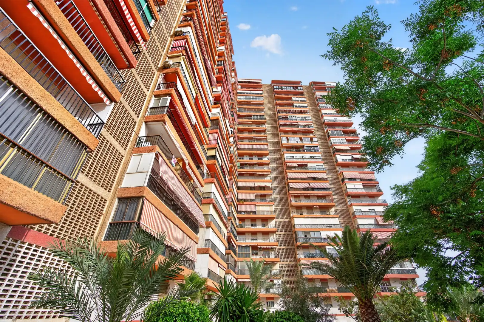Vista exterior de Piso en venta en Alicante / Alacant con Terraza y Piscina