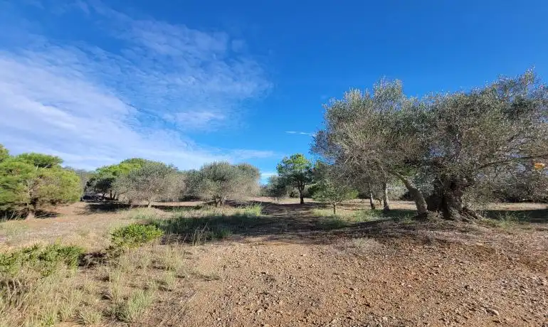 Lands and plots for sale in Garriguella, imagen 60