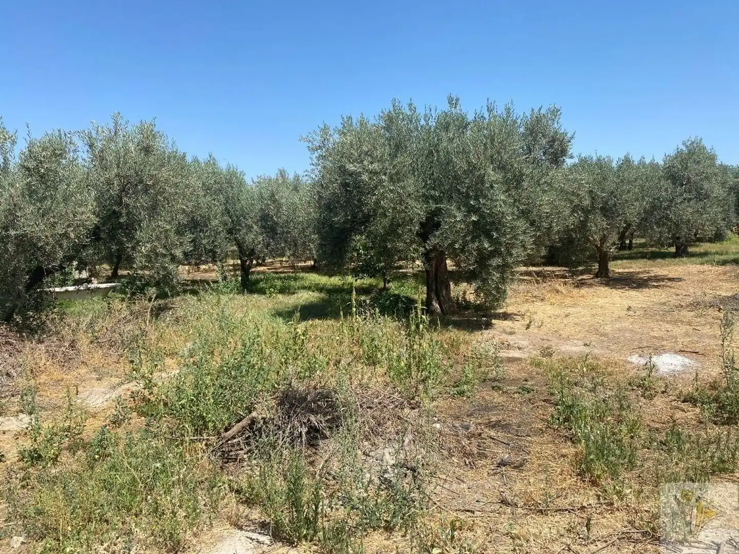 Country homes for sale in Pago del Miércoles, Gójar