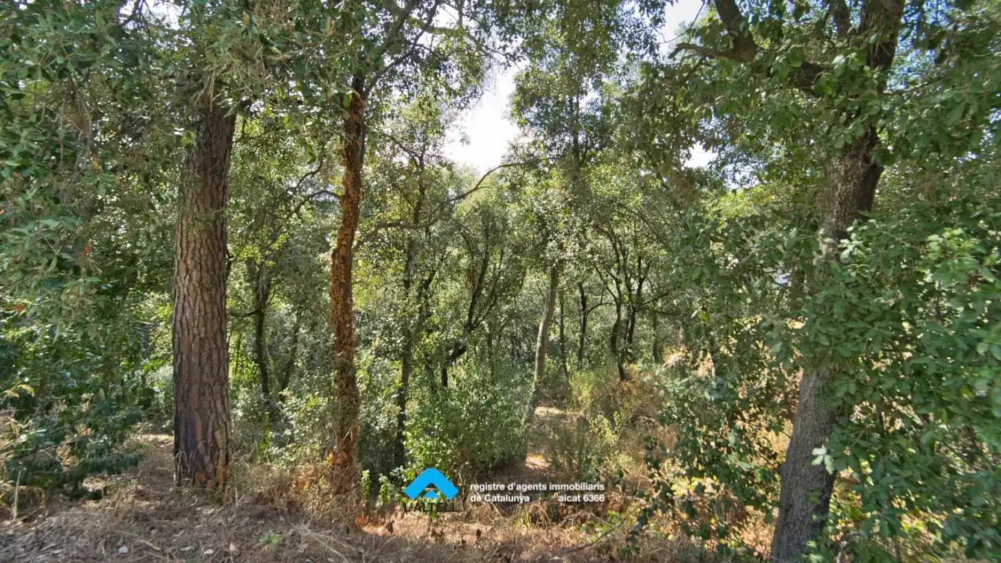 Terrenys i solars en venda a L'Ametlla del Vallès, imagen 4