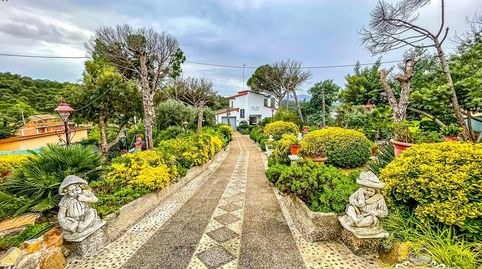 Foto 4 de Casa o chalet en venta en Mas Altaba - El Molí, Maçanet de la Selva