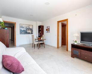 Sala d'estar de Pis en venda en Guadix amb Aire condicionat, Terrassa i Balcó
