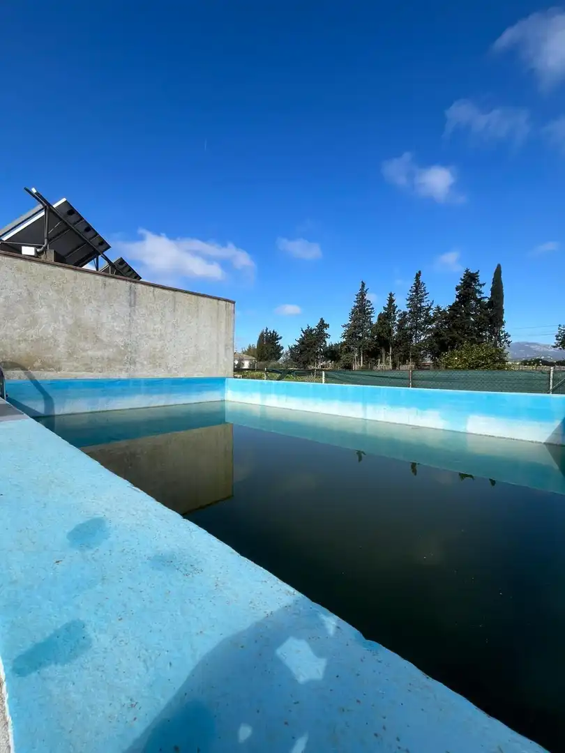 Swimming pool of Houses for sale in Consell  with Air Conditioner, Private garden and Terrace