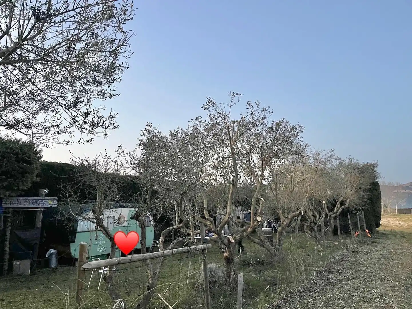 Terrenys i solars en venda a Els Griells, imagen 6