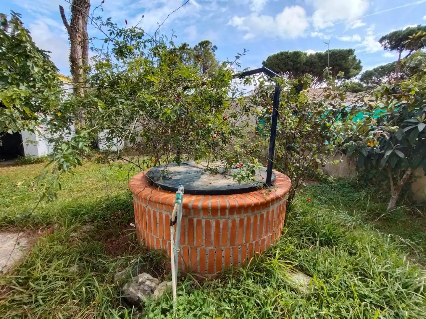 Jardí de Casa o xalet en venda en Chiclana de la Frontera amb Jardí privat i Terrassa