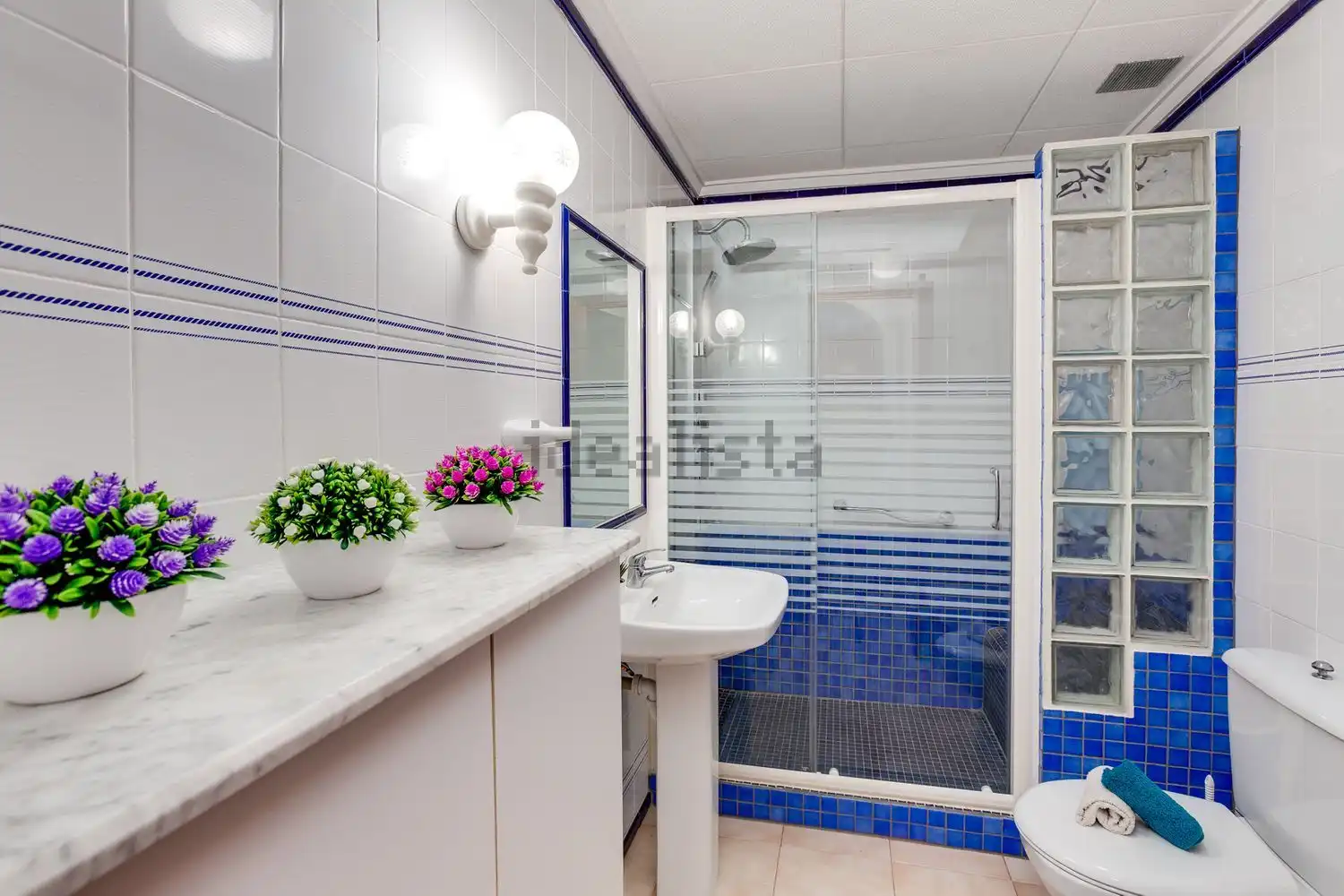 Baño de Casa o chalet de alquiler en Pilar de la Horadada con Aire acondicionado, Calefacción y Jardín privado