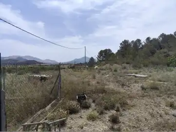 Land for sale in El Pinós / Pinoso