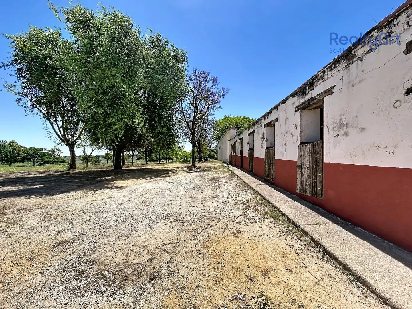 Vista exterior de Finca rústica en venta en Bollullos de la Mitación con Jardín privado y Piscina