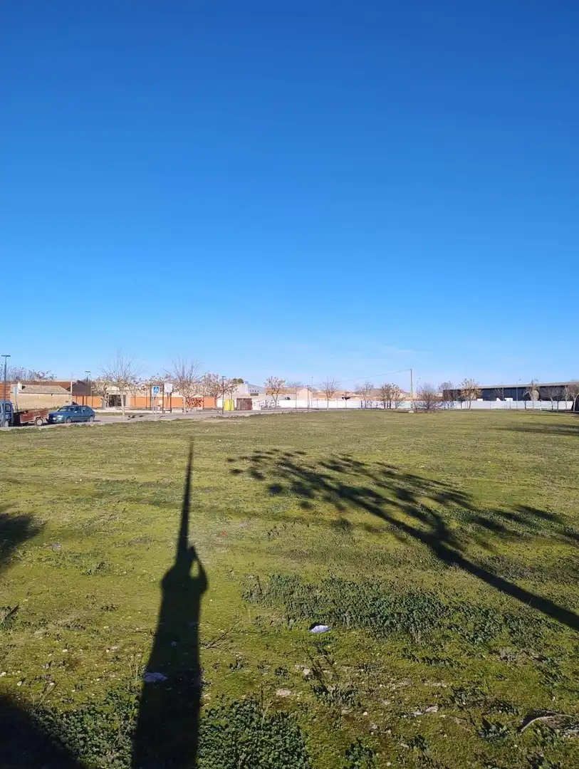 Terrenos y solares en venta en Calle CARRION, imagen 9