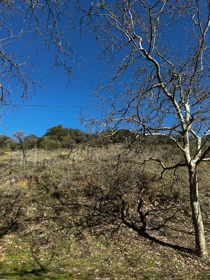 Finca rústica en venda en Valdepeñas de Jaén