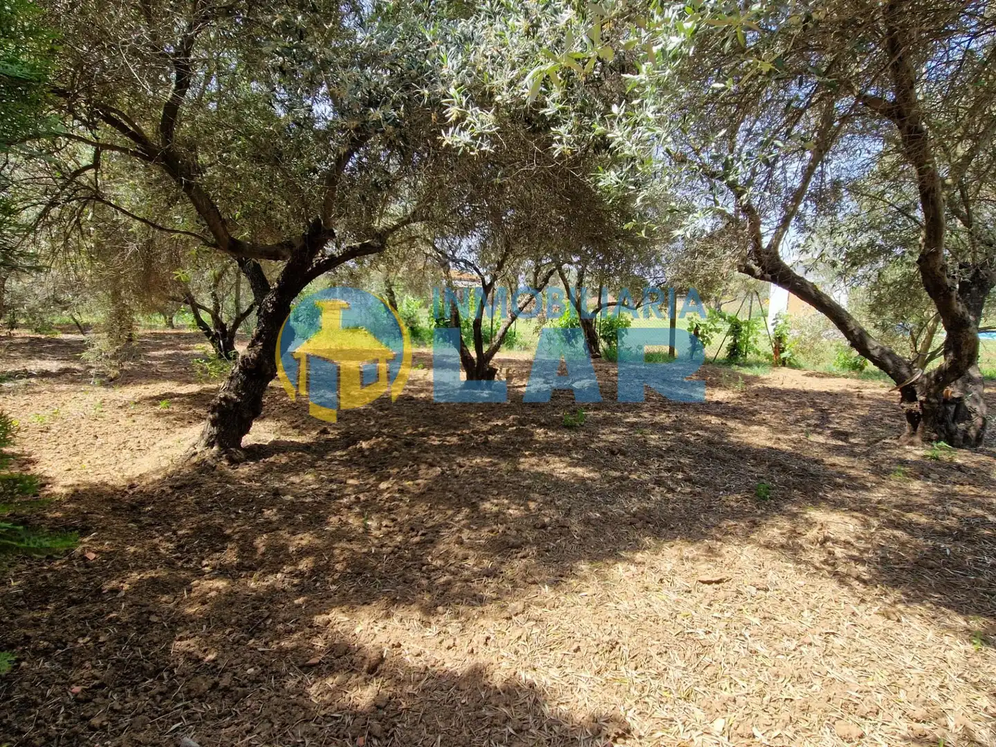 Casa o chalet en venta en Trigueros