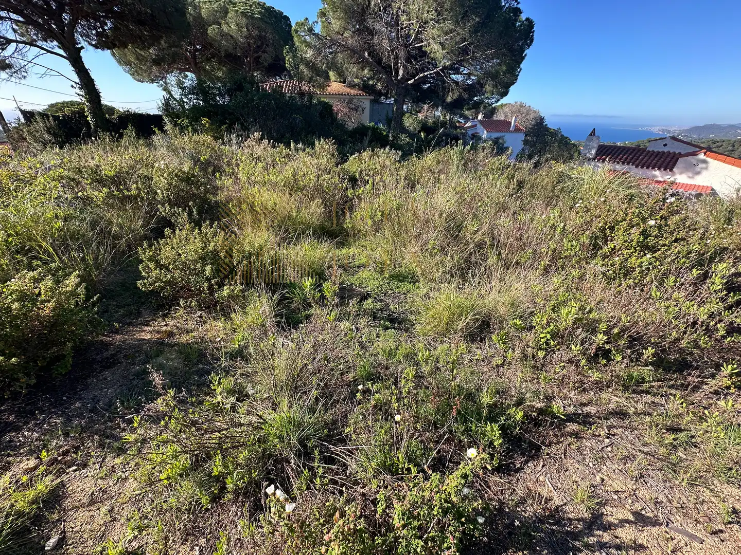 Terreno residencial en venta en Avinguda Font de Sant Llorenç 18, imagen 6