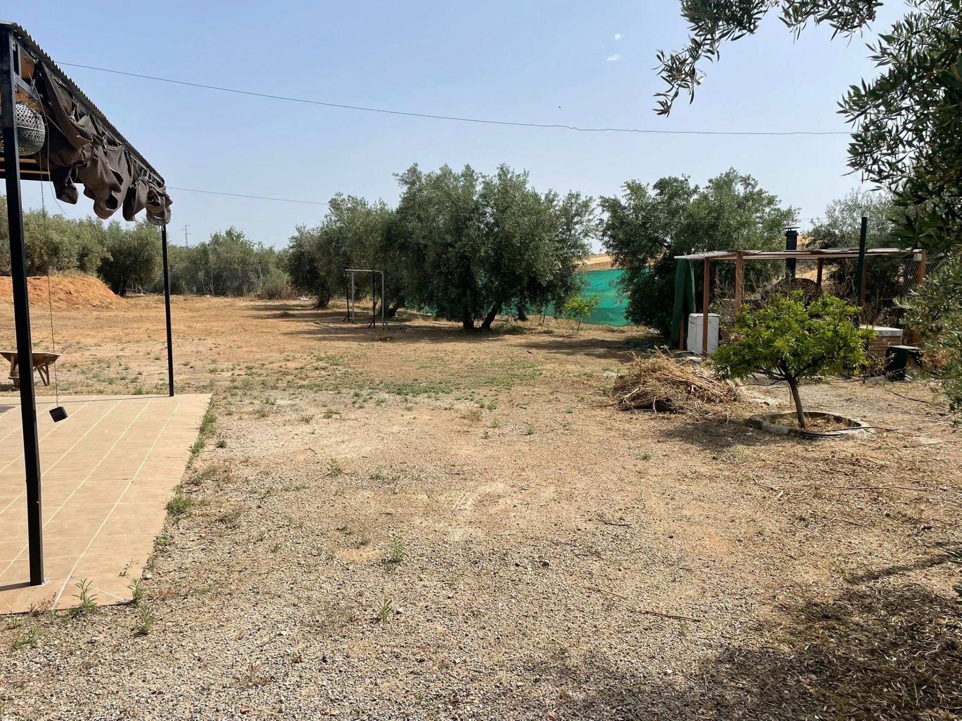 Finca rústica en venda en Chauchina