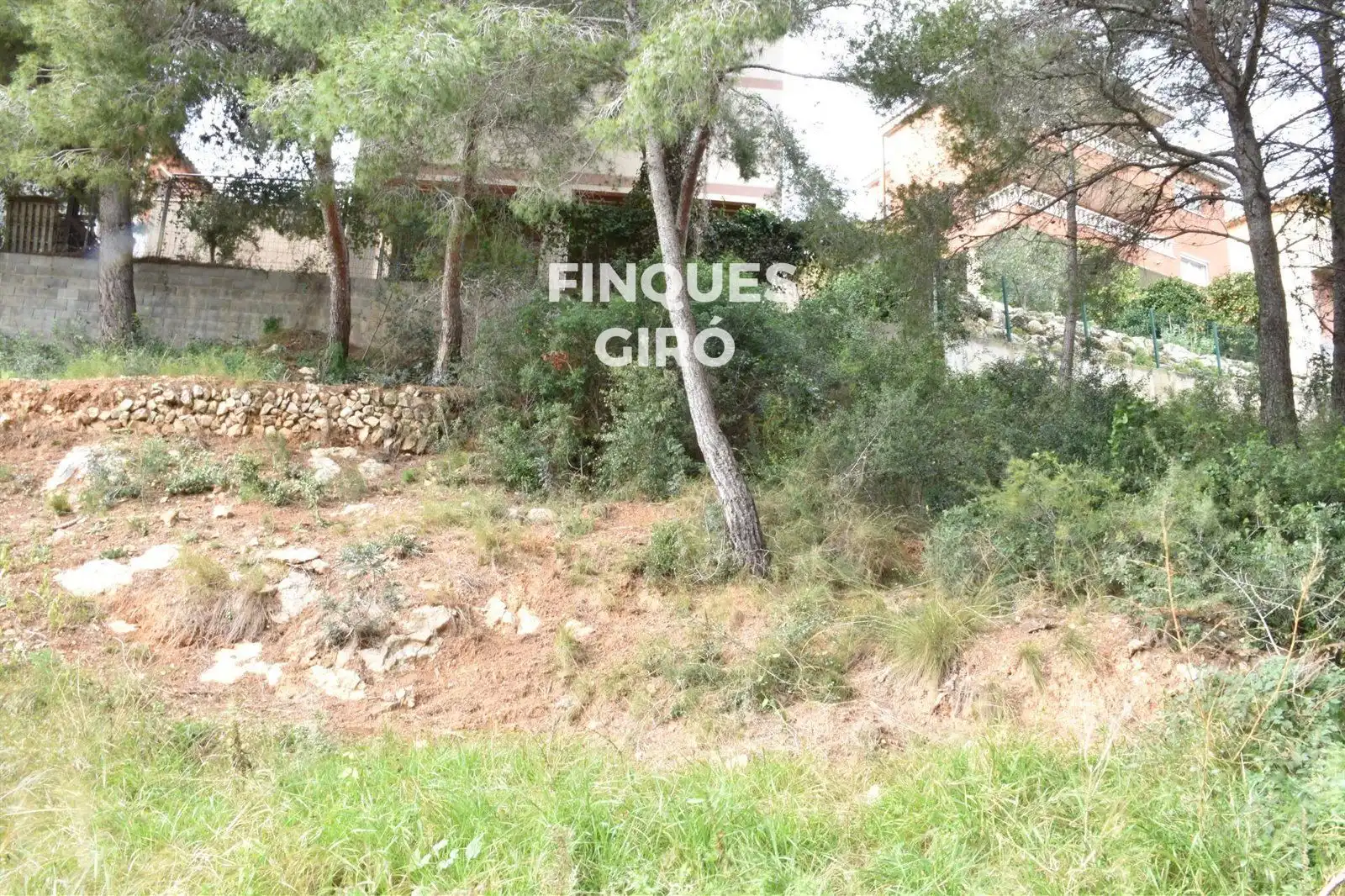Rural land for sale in GLADIOL, imagen 8