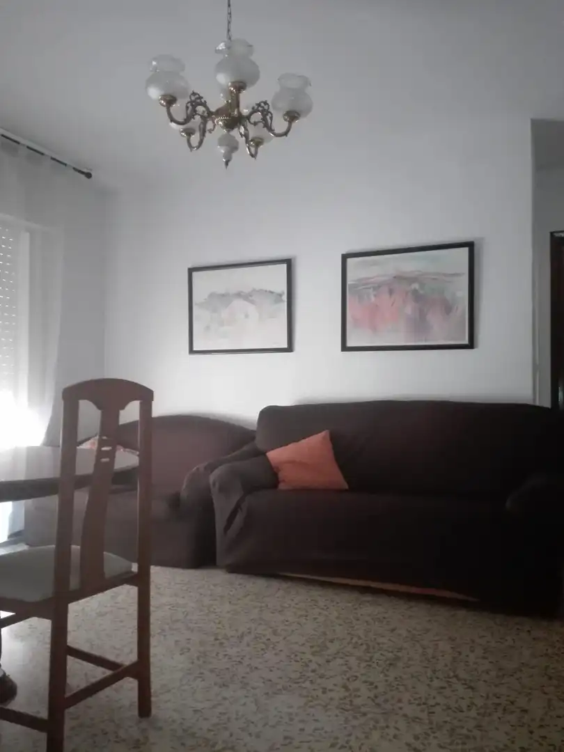 Living room of Flat for rent in Granada  with Heating, Furnished and Balcony