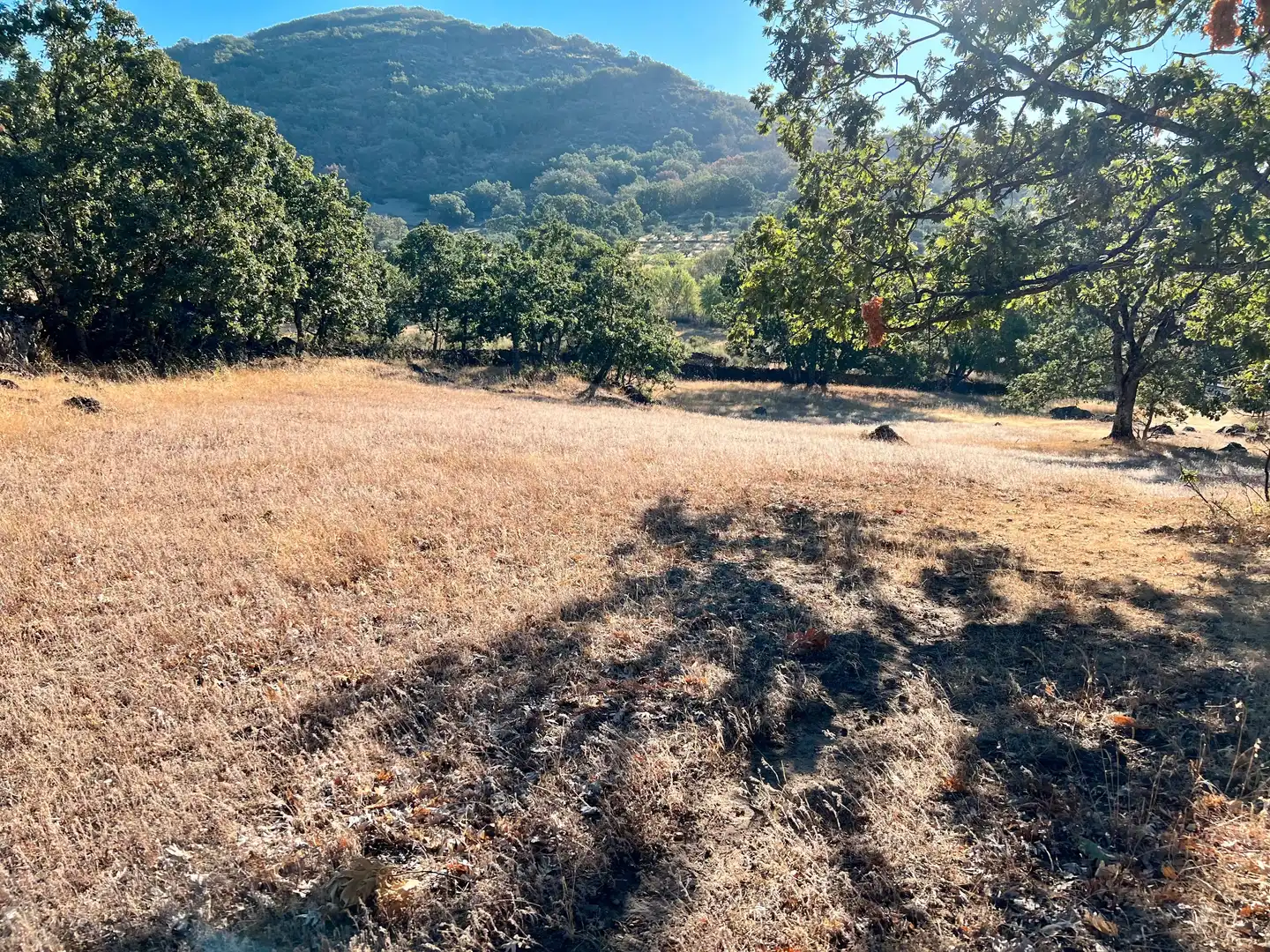 Terreni e lotti in vendita a Pasarón de la Vera, imagen 3