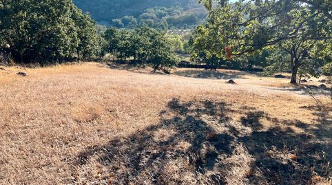 Foto 3 de Terreno en venta en N/a, -1, Pasarón de la Vera, Cáceres